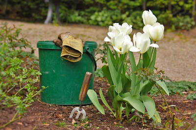Hobart Landscaping Services