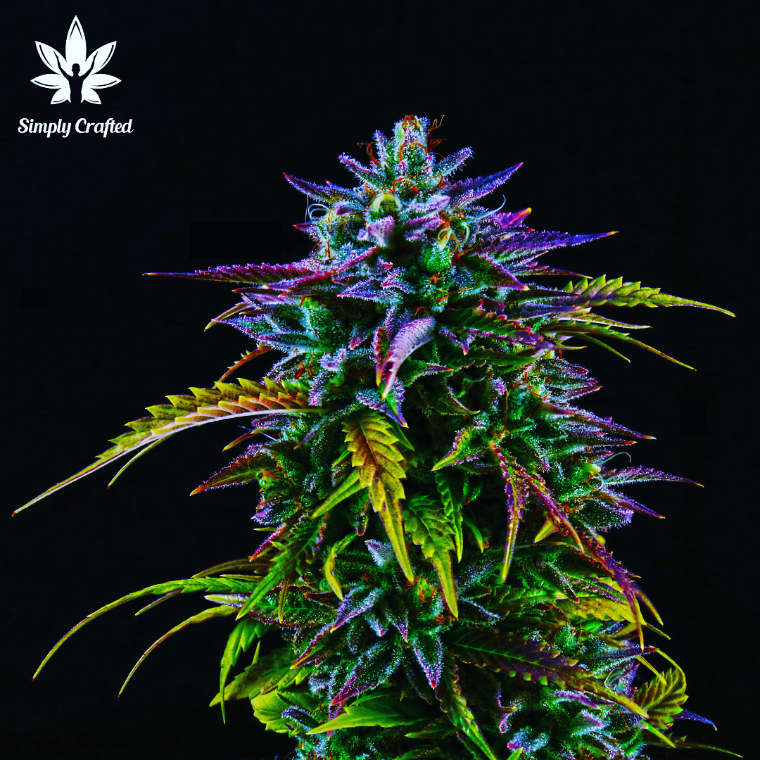 Simply Crafted CBD