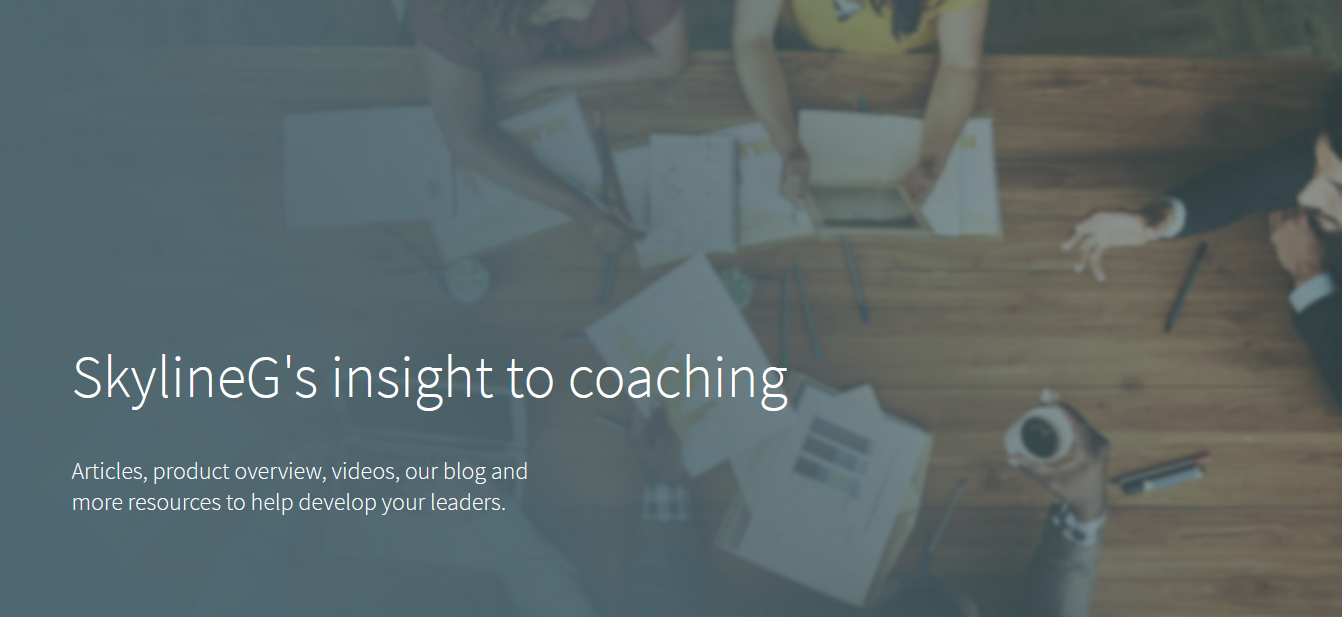 Skyline G – Executive Coaching & Leadership Development