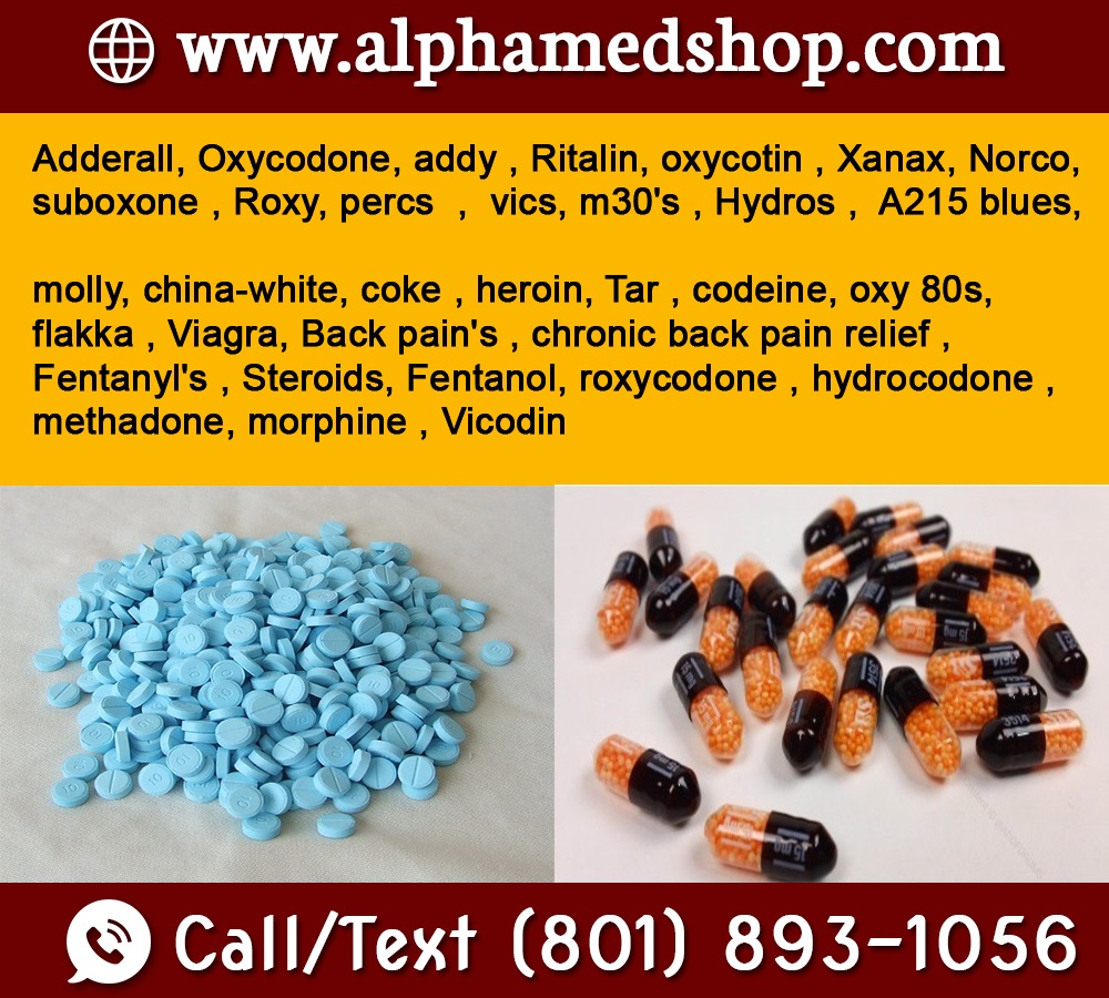 Antibiotic shop