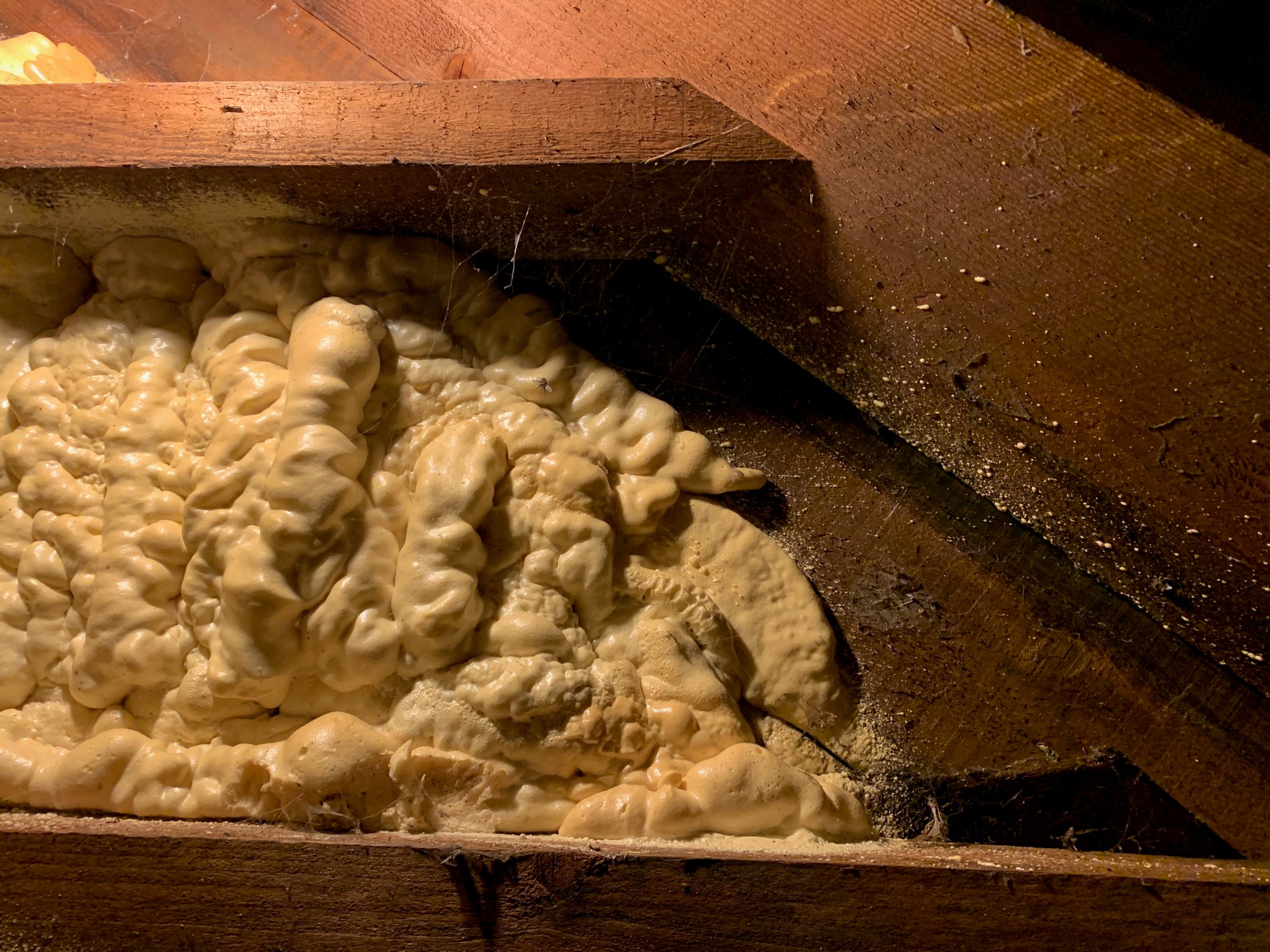 Spray Foam Insulation