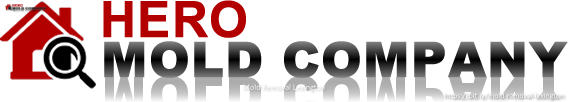 Hero Mold Company of Lexington NC