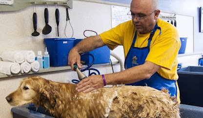 Oxford Veterinary Clinic