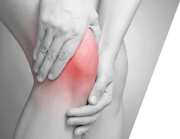 Physio Three Sixty Limited