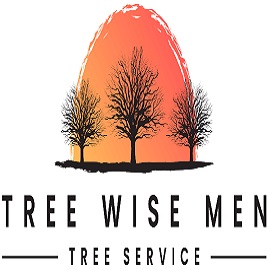 Tree Wise Men LLC