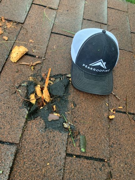 Peak Roofing