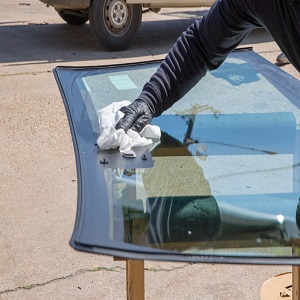Auto Glass Pals