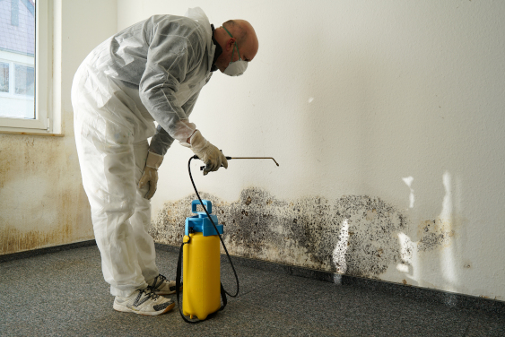 Mold Remediation Denver CO