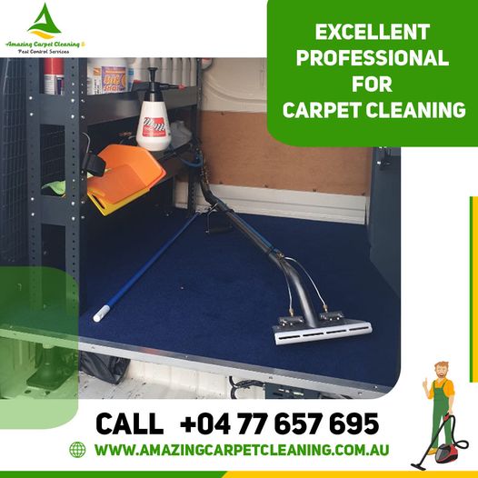 Amazing Carpet Cleaning & Pest Control Services
