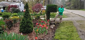 Fine Garden Care