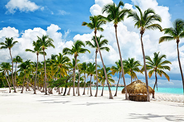 Lavish Elite Luxury Vacations