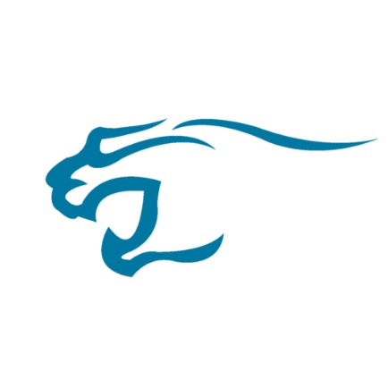 The Puma Marketing