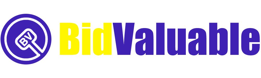 Bidvaluable auction