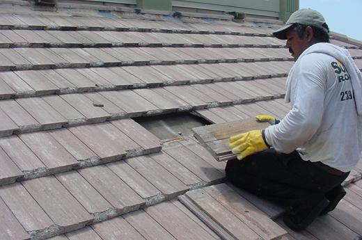 Expert Roofing The Woodlands