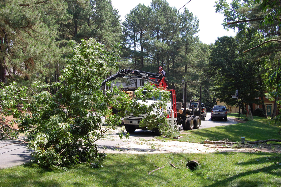MOB Tree Service