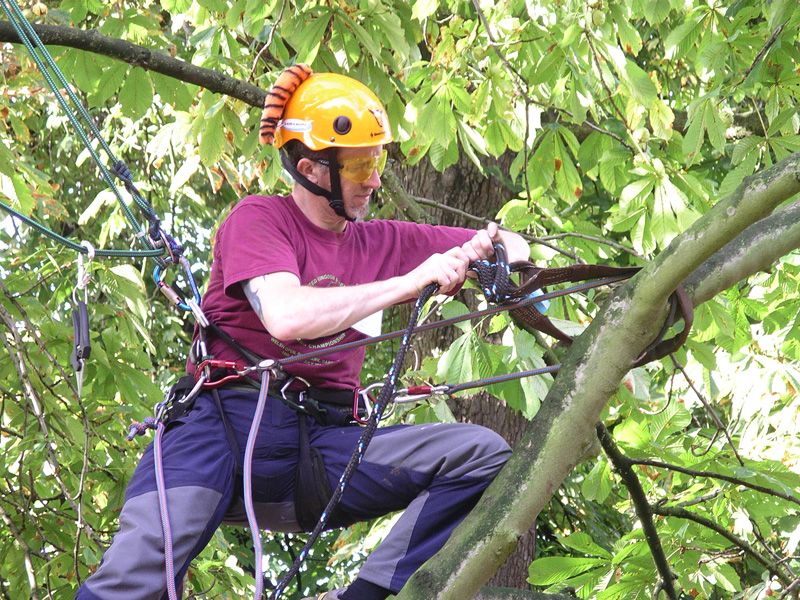 EVV Tree Service