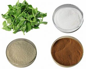 Xi'an SR Bio-Engineering Co., Ltd