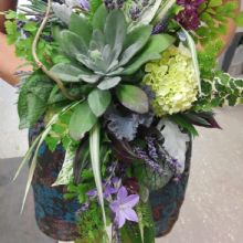Forth Floral