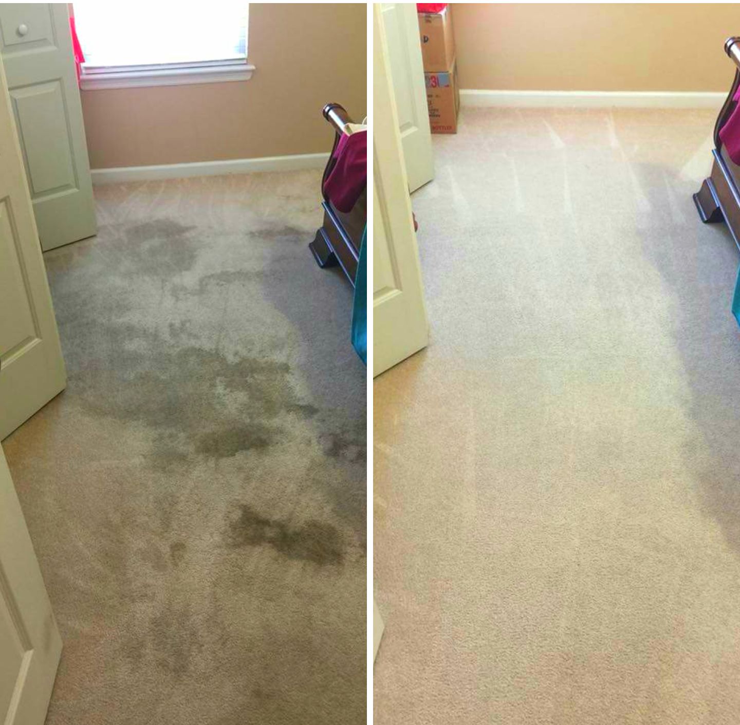 Tropical Carpet Care