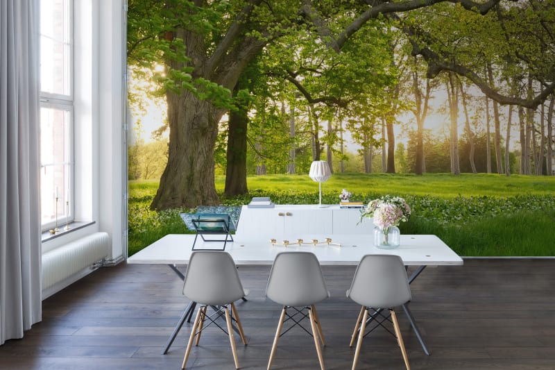 Wallpaper suppliers Australia