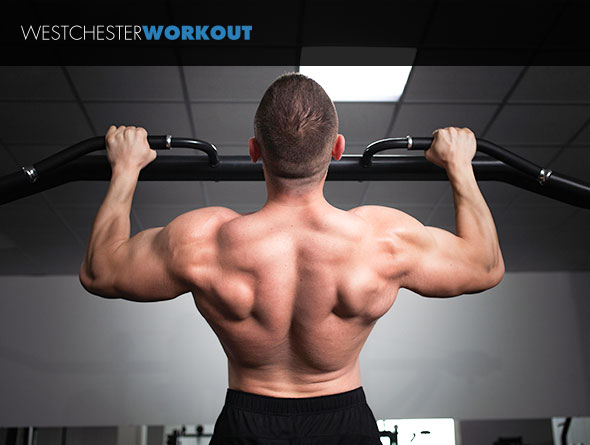 The Westchester Workout