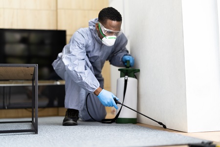Buzz Kill Pest Control