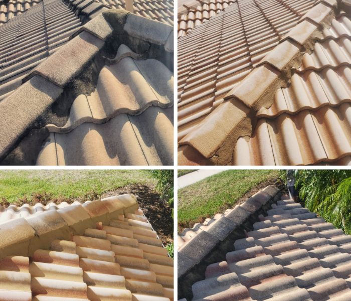 Tampa Bay Roof Cleaning