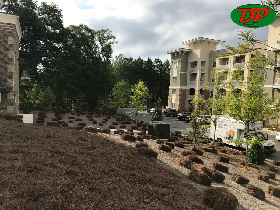 Dunwoody Pinestraw LLC