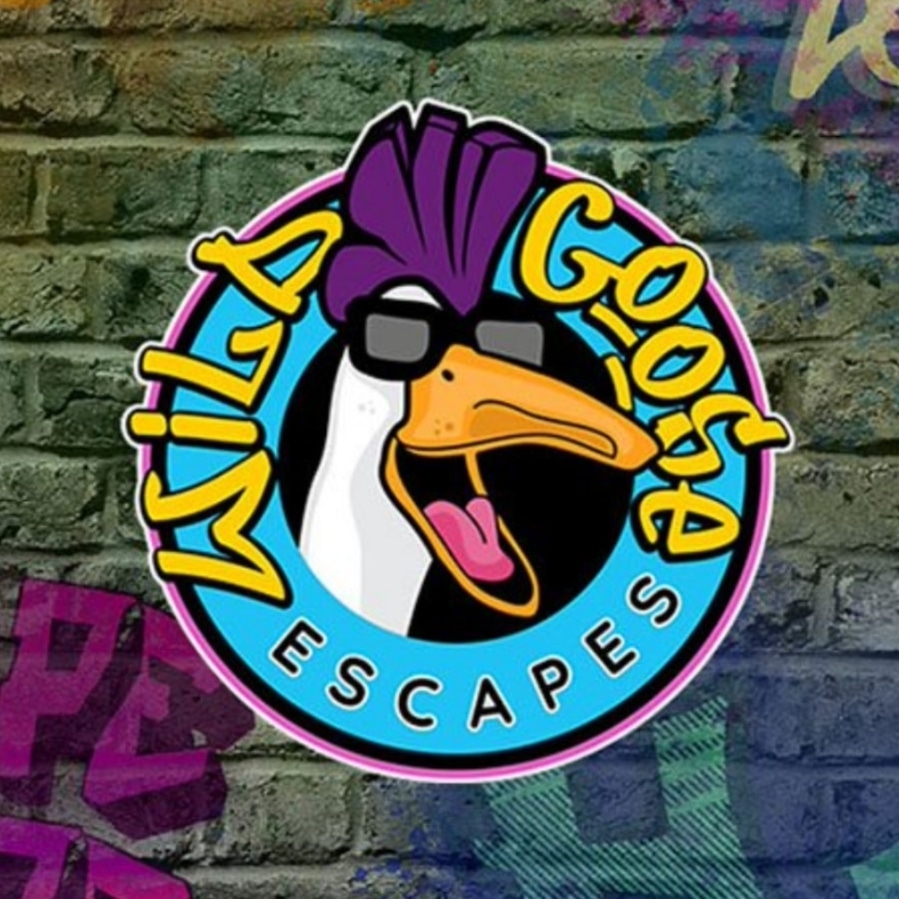 Wild Goose Escapes Huntington Beach