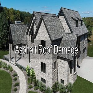 Roofs ONE