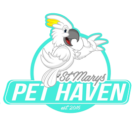 Get High-Quality Pet Accessories At Affordable Prices
