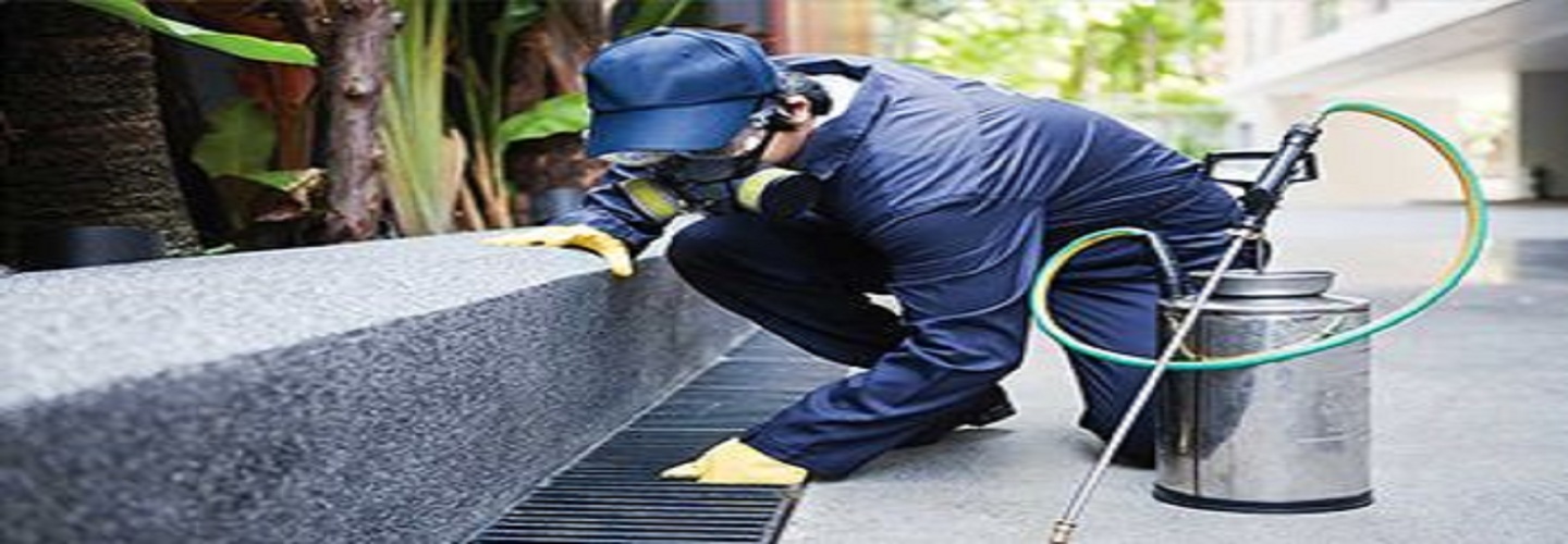 Bug Free Pest Control
