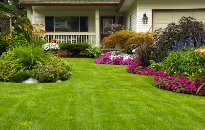 Mission Viejo Landscape