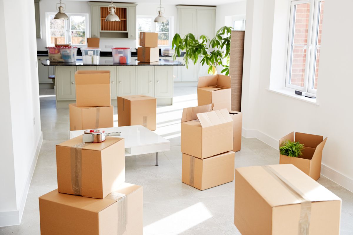 Jay Removals
