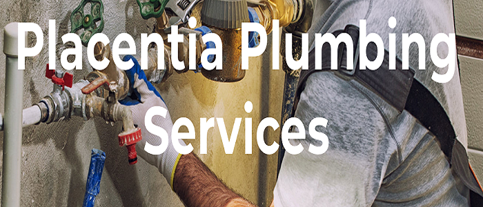 Placentia Plumbing Services