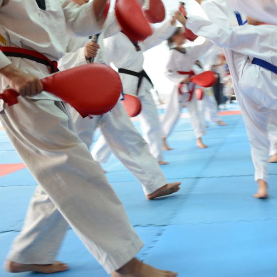 Garland Ata Black Belt Academy