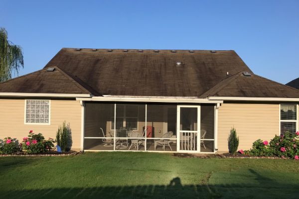 Thriving Gutters
