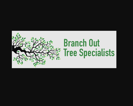 Tree Removal Bondi
