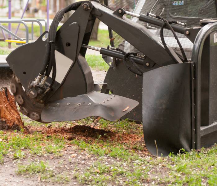 Mobile Tree Removal Services