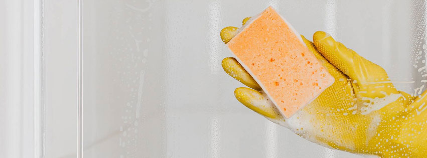 Sponge Center