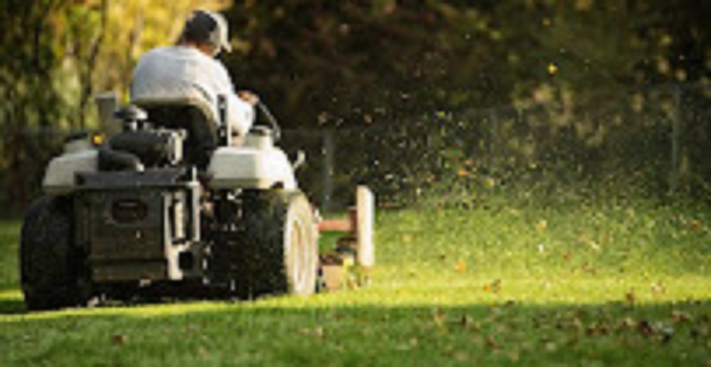 Bronx Discount Tree Cutting Service