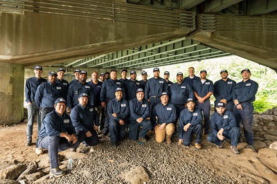 Fox Pest Control – Connecticut