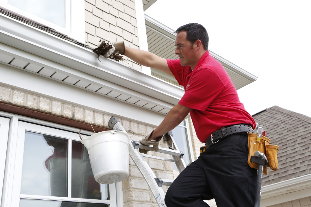 Mr. Handyman serving Palm Harbor, Clearwater and Largo
