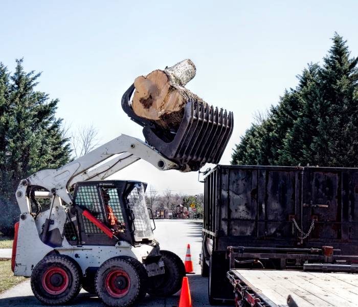 Montgomery Tree Trimming & Removal Service