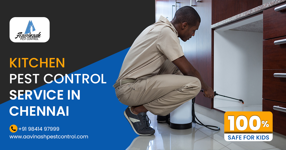 Best Pest Control Services experts in Chennai – Aavinashpestcon &hellip;