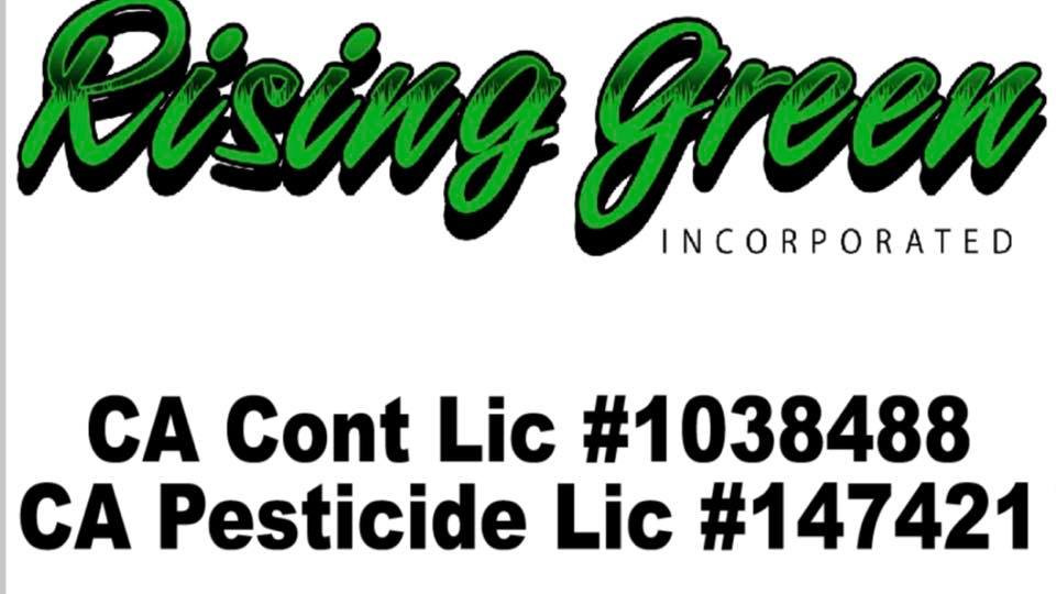 Rising Green Inc Tree & Landscaping