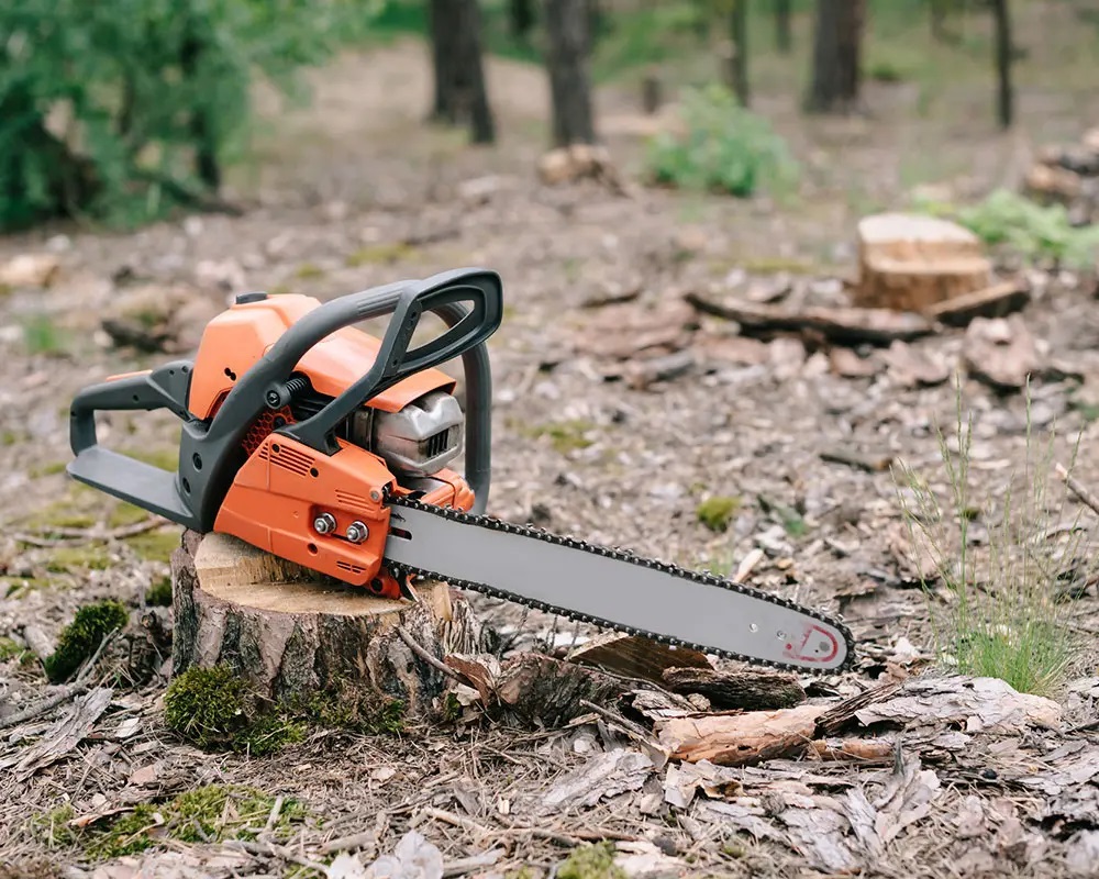Los Angeles Tree Professionals