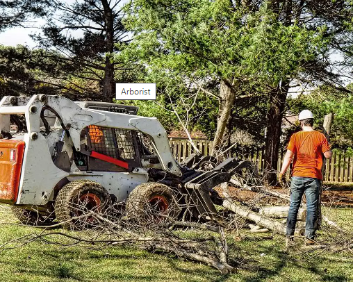 Burbank Tree Professionals