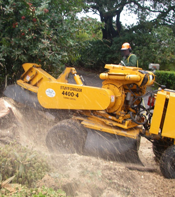NYC Discount Tree Service & Pruning