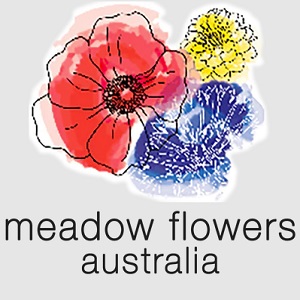 Canada MedLaser Thornhill